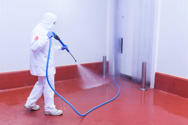 Best Pre-Holiday Cleaning  in St James, NY